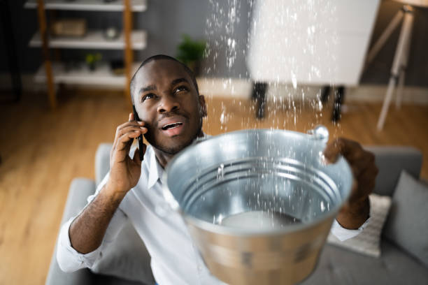 Best Flooded house restoration  in Lake Mack Forest Hills, FL