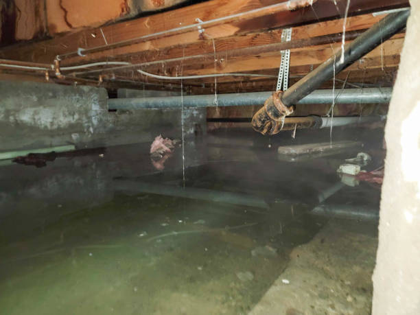 Water damage restoration process in Lake Mack Forest Hills, FL