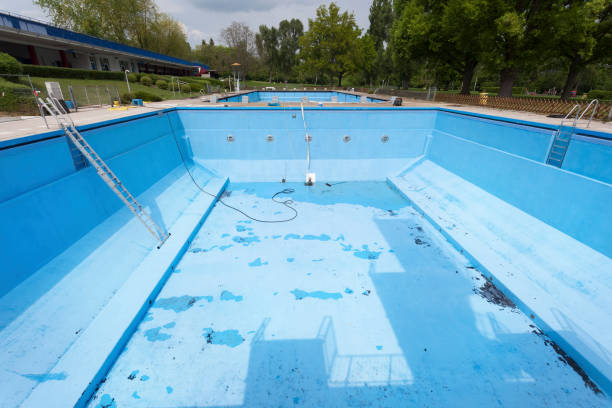 Best Professional water damage repair  in Lake Mack Forest Hills, FL