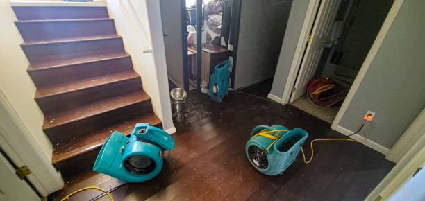Best Water damage restoration near me  in Lake Mack Forest Hills, FL