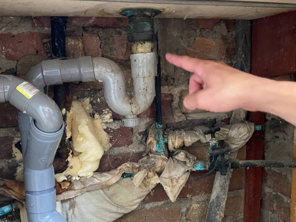 Best Sewage cleanup and water damage restoration  in Lake Mack Forest Hills, FL
