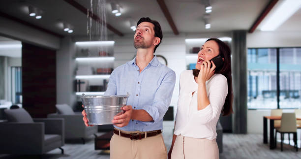Best Carpet water damage restoration  in Lake Mack Forest Hills, FL